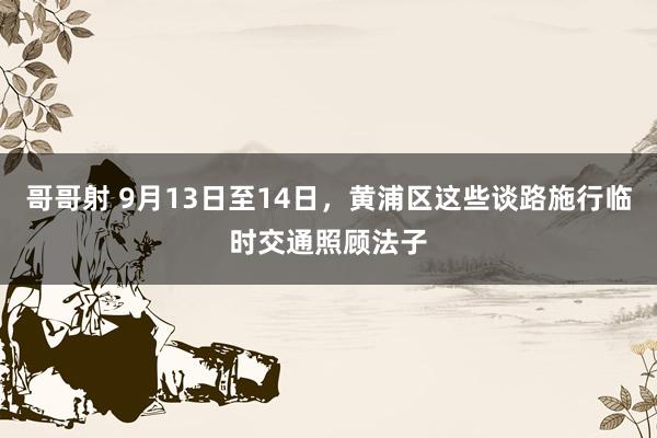 哥哥射 9月13日至14日，黄浦区这些谈路施行临时交通照顾法子