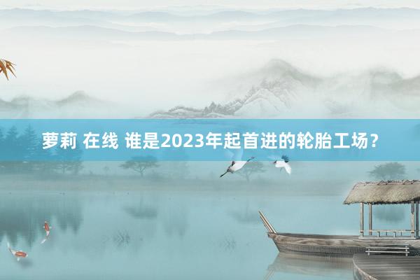 萝莉 在线 谁是2023年起首进的轮胎工场？