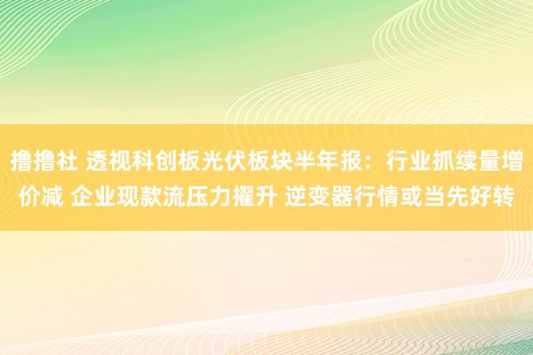 撸撸社 透视科创板光伏板块半年报：行业抓续量增价减 企业现款流压力擢升 逆变器行情或当先好转