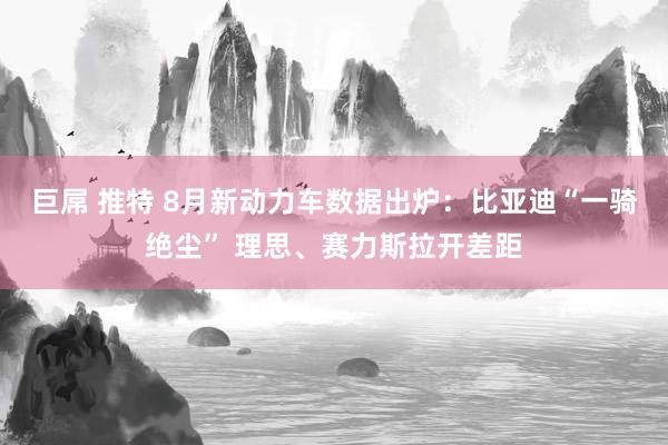 巨屌 推特 8月新动力车数据出炉：比亚迪“一骑绝尘” 理思、赛力斯拉开差距