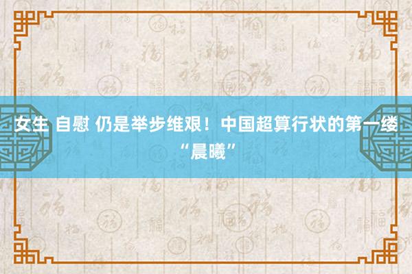 女生 自慰 仍是举步维艰！中国超算行状的第一缕“晨曦”