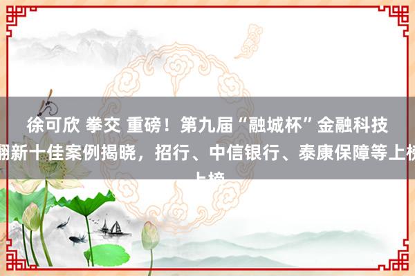 徐可欣 拳交 重磅！第九届“融城杯”金融科技翻新十佳案例揭晓，招行、中信银行、泰康保障等上榜