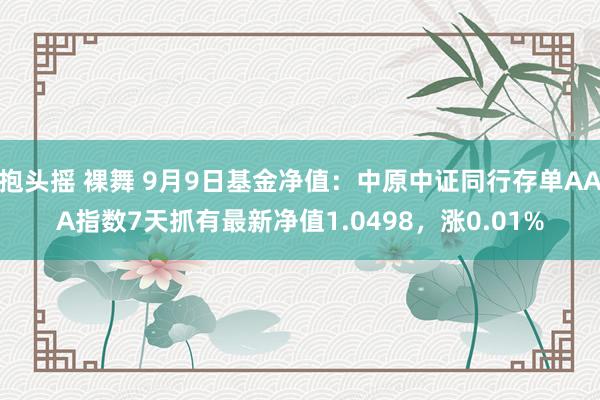 抱头摇 裸舞 9月9日基金净值：中原中证同行存单AAA指数7天抓有最新净值1.0498，涨0.01%