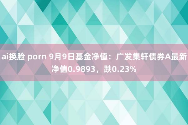 ai换脸 porn 9月9日基金净值：广发集轩债券A最新净值0.9893，跌0.23%