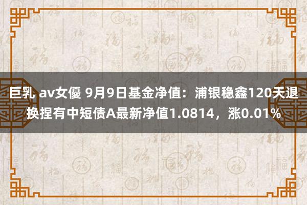 巨乳 av女優 9月9日基金净值：浦银稳鑫120天退换捏有中短债A最新净值1.0814，涨0.01%