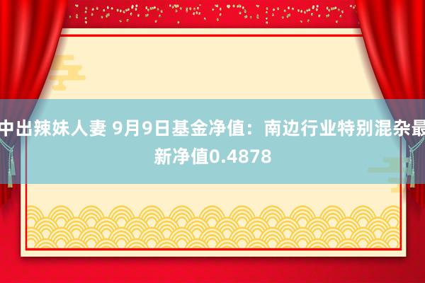 中出辣妹人妻 9月9日基金净值：南边行业特别混杂最新净值0.4878