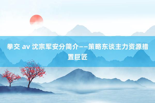 拳交 av 沈宗军安分简介——策略东谈主力资源措置巨匠