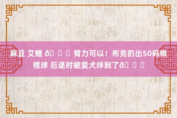 麻豆 艾鲤 🏈臂力可以！布克扔出50码橄榄球 后退时被爱犬绊到了😂