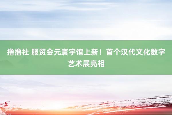 撸撸社 服贸会元寰宇馆上新！首个汉代文化数字艺术展亮相