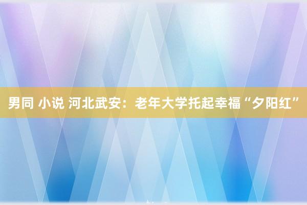 男同 小说 河北武安：老年大学托起幸福“夕阳红”