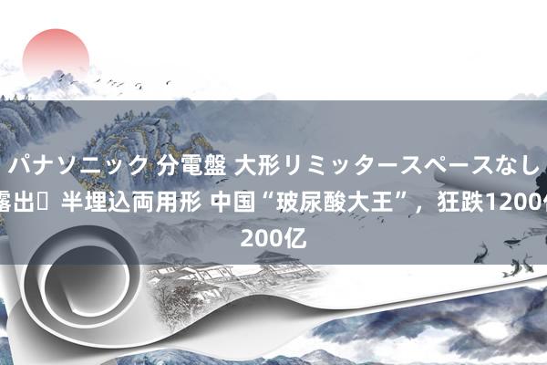 パナソニック 分電盤 大形リミッタースペースなし 露出・半埋込両用形 中国“玻尿酸大王”，狂跌1200亿