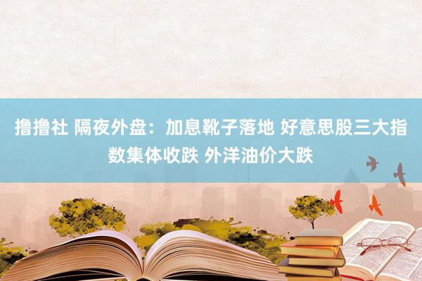 撸撸社 隔夜外盘：加息靴子落地 好意思股三大指数集体收跌 外洋油价大跌