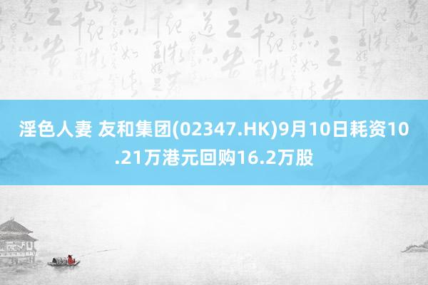 淫色人妻 友和集团(02347.HK)9月10日耗资10.21万港元回购16.2万股