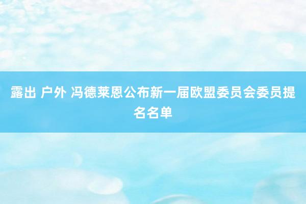 露出 户外 冯德莱恩公布新一届欧盟委员会委员提名名单