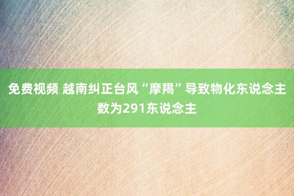 免费视频 越南纠正台风“摩羯”导致物化东说念主数为291东说念主