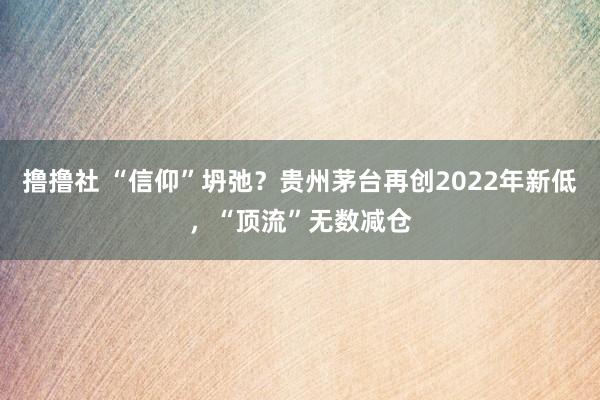 撸撸社 “信仰”坍弛？贵州茅台再创2022年新低，“顶流”无数减仓