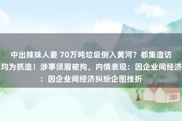 中出辣妹人妻 70万吨垃圾倒入黄河？都集造访组：举报视频均为抓造！涉事须眉被拘，内情表现：因企业间经济纠纷企图挫折