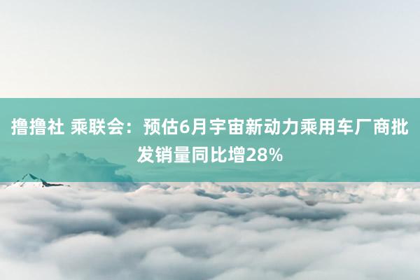 撸撸社 乘联会：预估6月宇宙新动力乘用车厂商批发销量同比增28%