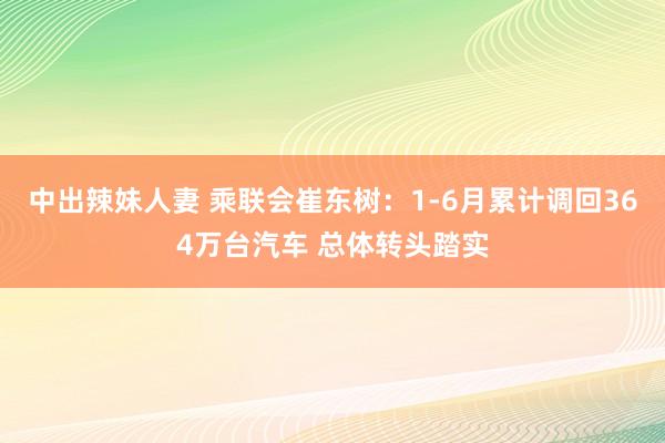 中出辣妹人妻 乘联会崔东树：1-6月累计调回364万台汽车 总体转头踏实