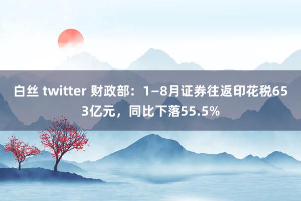 白丝 twitter 财政部：1—8月证券往返印花税653亿元，同比下落55.5%