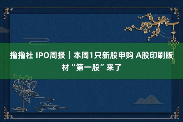 撸撸社 IPO周报｜本周1只新股申购 A股印刷版材“第一股”来了