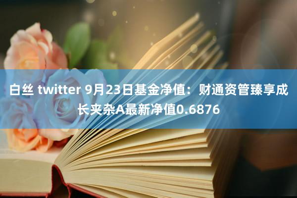 白丝 twitter 9月23日基金净值：财通资管臻享成长夹杂A最新净值0.6876