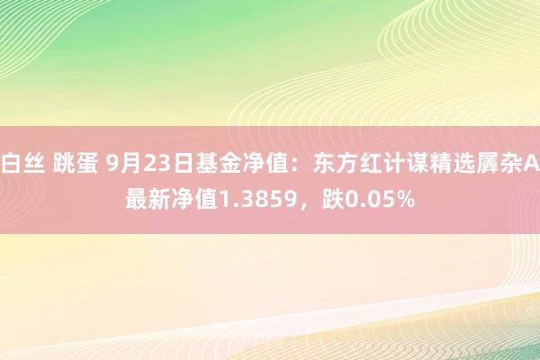 白丝 跳蛋 9月23日基金净值：东方红计谋精选羼杂A最新净值1.3859，跌0.05%