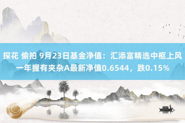 探花 偷拍 9月23日基金净值：汇添富精选中枢上风一年握有夹杂A最新净值0.6544，跌0.15%