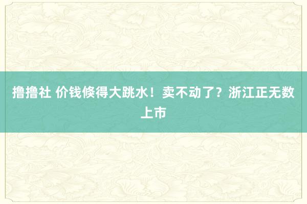 撸撸社 价钱倏得大跳水！卖不动了？浙江正无数上市