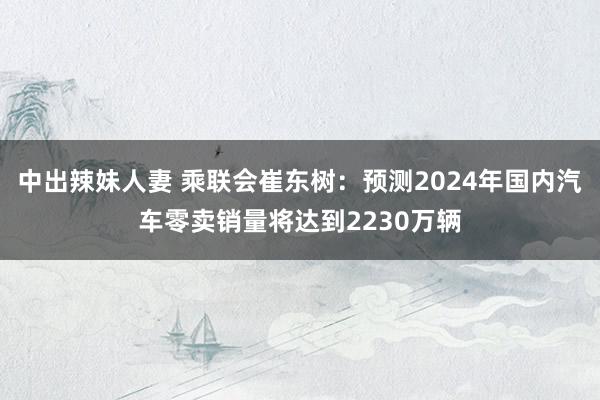 中出辣妹人妻 乘联会崔东树：预测2024年国内汽车零卖销量将达到2230万辆