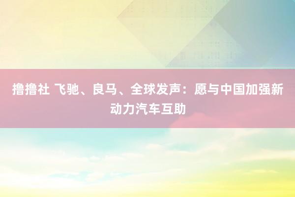 撸撸社 飞驰、良马、全球发声：愿与中国加强新动力汽车互助