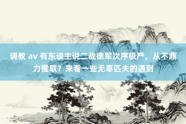 调教 av 有东谈主说二战德军次序极严，从不鼎力攫取？来看一些无辜匹夫的遇到