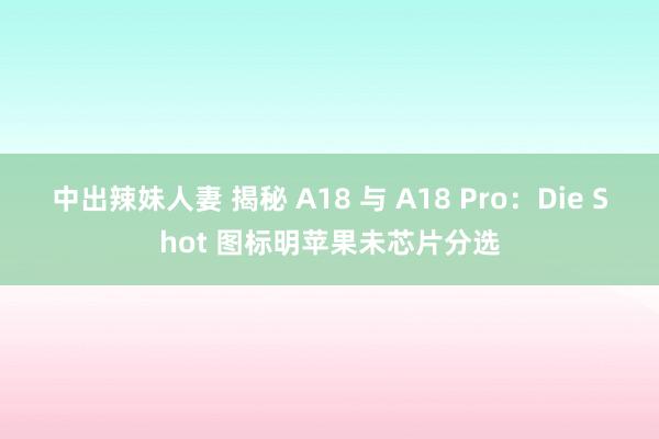 中出辣妹人妻 揭秘 A18 与 A18 Pro：Die Shot 图标明苹果未芯片分选