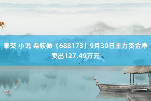 拳交 小说 希荻微（688173）9月30日主力资金净卖出127.49万元