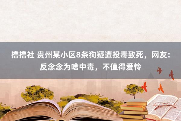 撸撸社 贵州某小区8条狗疑遭投毒致死，网友：反念念为啥中毒，不值得爱怜