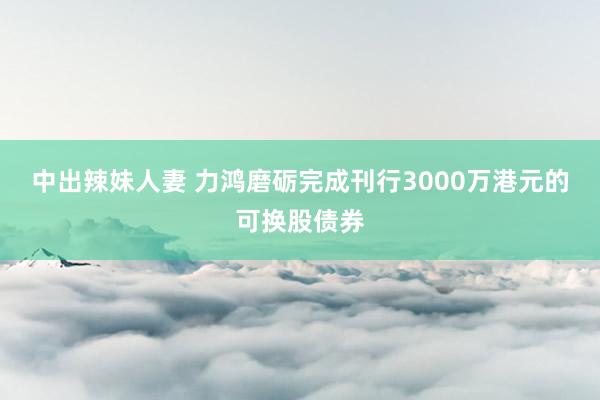 中出辣妹人妻 力鸿磨砺完成刊行3000万港元的可换股债券