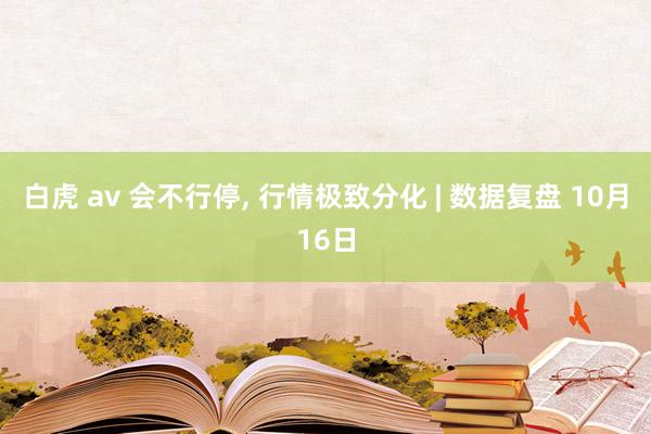 白虎 av 会不行停， 行情极致分化 | 数据复盘 10月16日