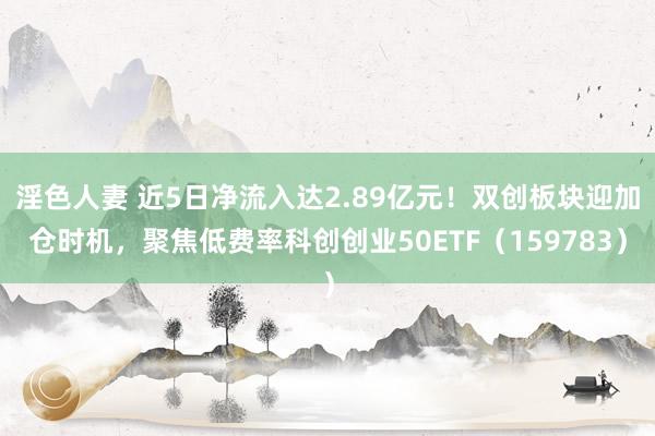 淫色人妻 近5日净流入达2.89亿元！双创板块迎加仓时机，聚焦低费率科创创业50ETF（159783）