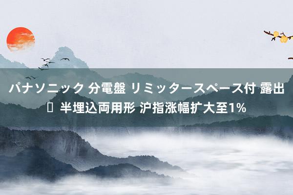 パナソニック 分電盤 リミッタースペース付 露出・半埋込両用形 沪指涨幅扩大至1%