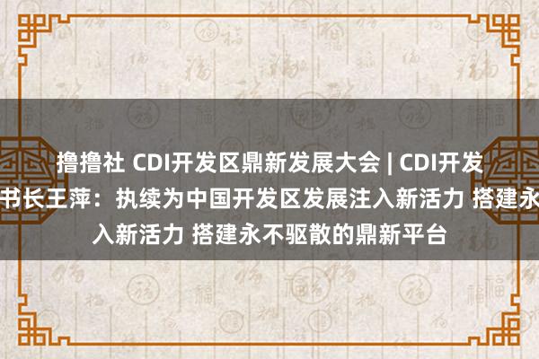 撸撸社 CDI开发区鼎新发展大会 | CDI开发区鼎新发展大会文书长王萍：执续为中国开发区发展注入新活力 搭建永不驱散的鼎新平台