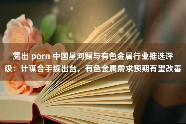 露出 porn 中国星河赐与有色金属行业推选评级：计谋合手续出台，有色金属需求预期有望改善