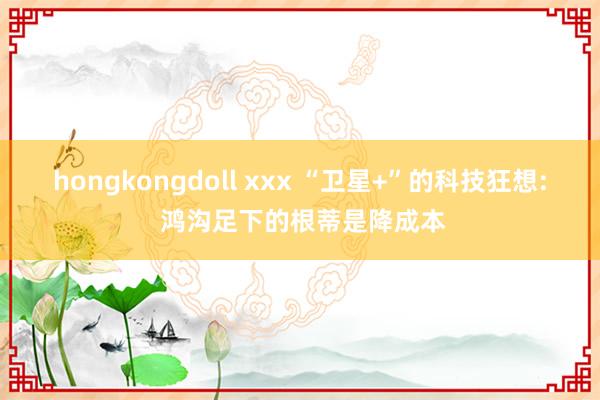 hongkongdoll xxx “卫星+”的科技狂想: 鸿沟足下的根蒂是降成本