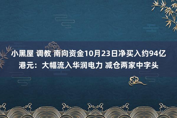 小黑屋 调教 南向资金10月23日净买入约94亿港元：大幅流入华润电力 减仓两家中字头