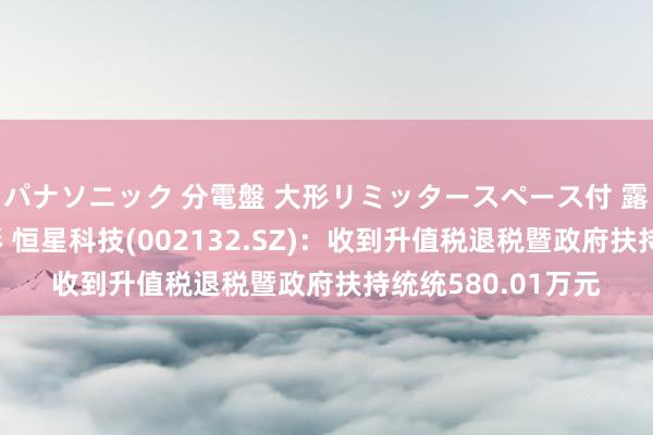 パナソニック 分電盤 大形リミッタースペース付 露出・半埋込両用形 恒星科技(002132.SZ)：收到升值税退税暨政府扶持统统580.01万元