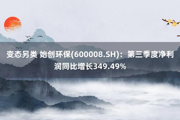 变态另类 始创环保(600008.SH)：第三季度净利润同比增长349.49%