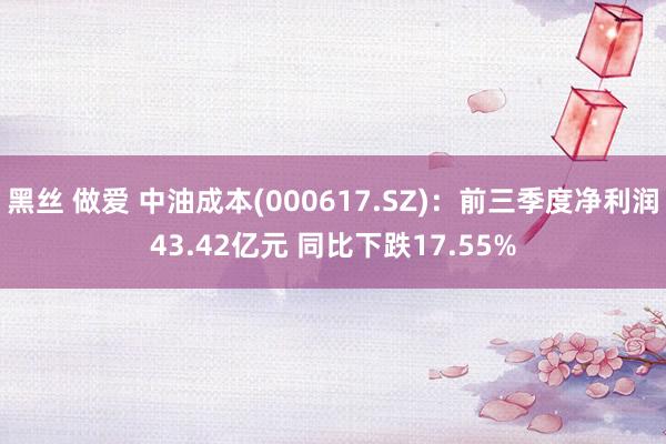 黑丝 做爱 中油成本(000617.SZ)：前三季度净利润43.42亿元 同比下跌17.55%