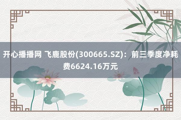 开心播播网 飞鹿股份(300665.SZ)：前三季度净耗费6624.16万元