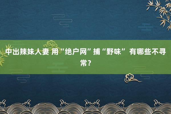 中出辣妹人妻 用“绝户网”捕“野味” 有哪些不寻常？