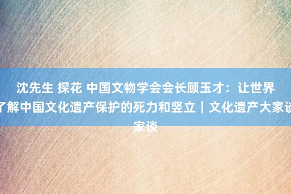 沈先生 探花 中国文物学会会长顾玉才：让世界了解中国文化遗产保护的死力和竖立｜文化遗产大家谈