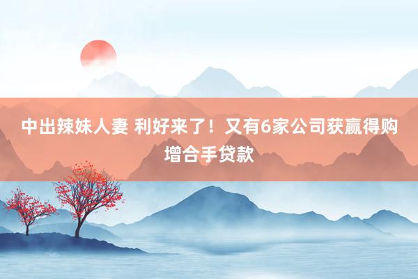 中出辣妹人妻 利好来了！又有6家公司获赢得购增合手贷款